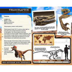 HEEBIE JEEBIES | Dino Kit Small Velociraptor